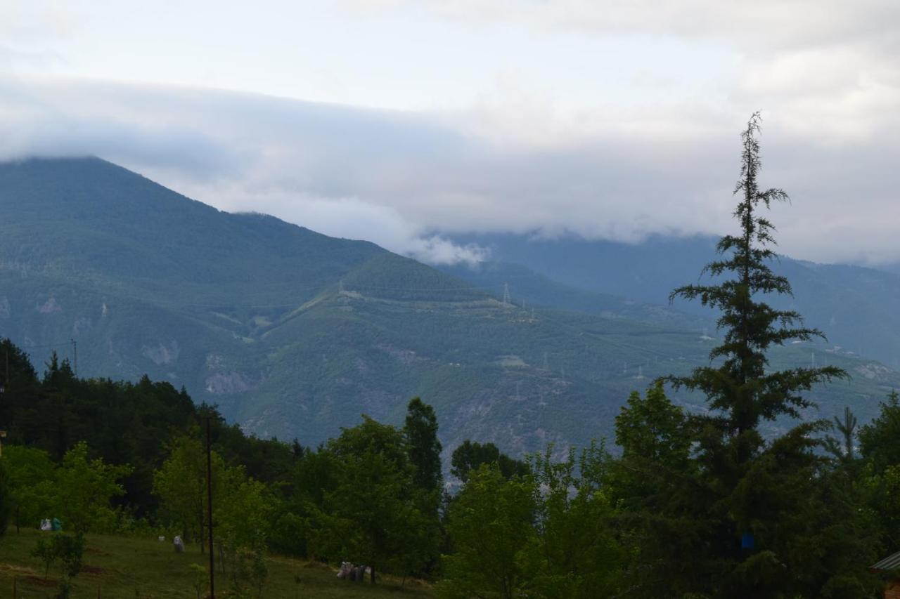 Mars Otel Artvin Exterior foto