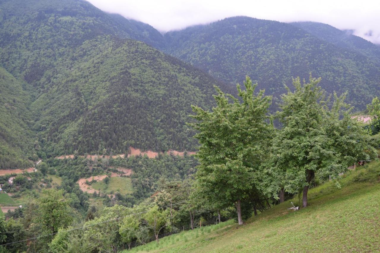 Mars Otel Artvin Exterior foto
