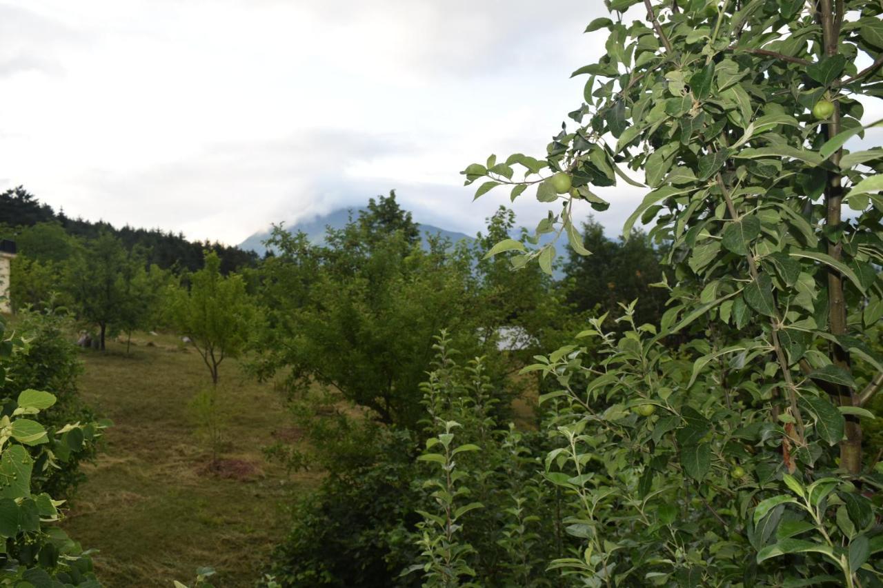 Mars Otel Artvin Exterior foto