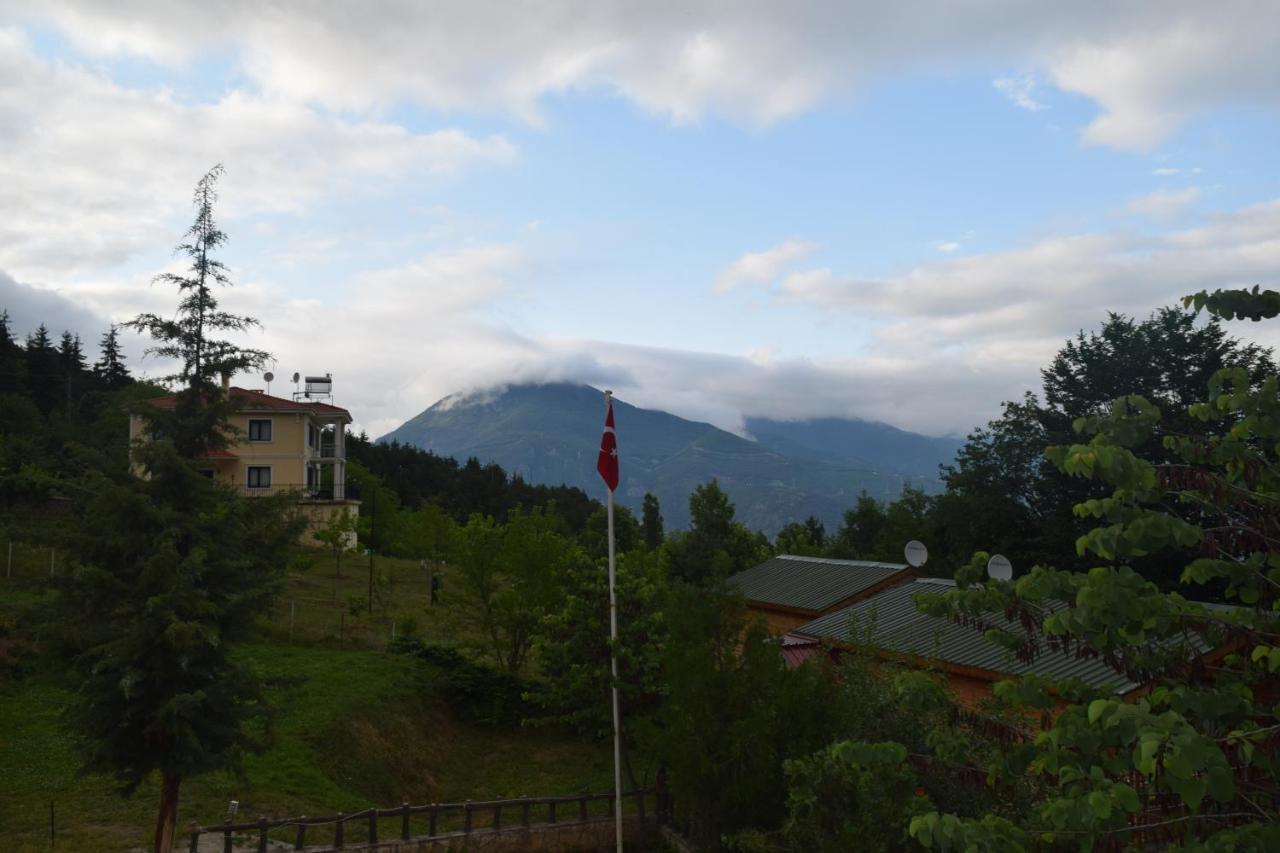 Mars Otel Artvin Exterior foto